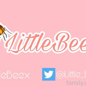 LittleBee Mega Download