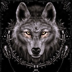 wolfie Mega Download